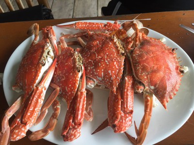 ปูม้านึ่ง 4ตัว/กก