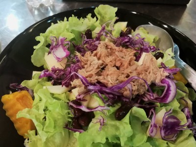 สลัดผักไฮโปรนิกส์