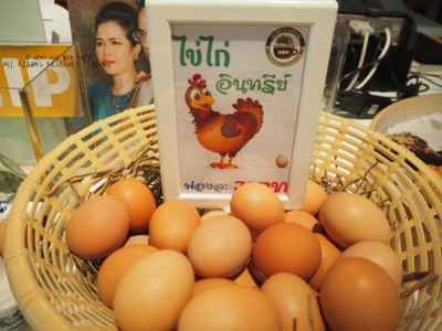 ไข่ไก่อินทรีย์