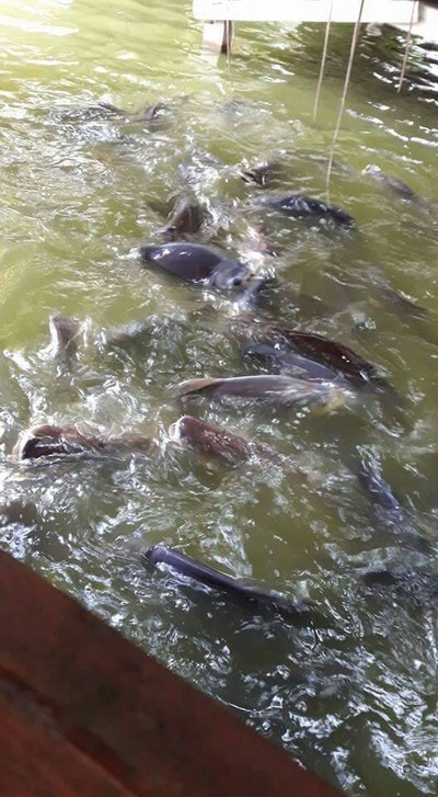 บรรยากาศ