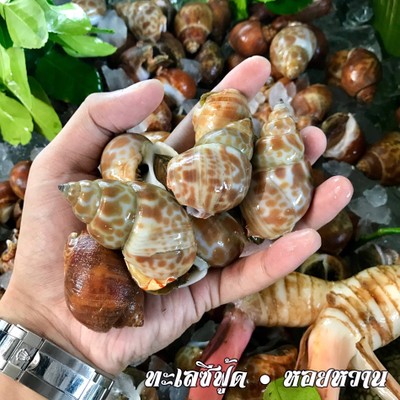 เมนูของร้าน หอมปลาเผา ซ.รัชดา18