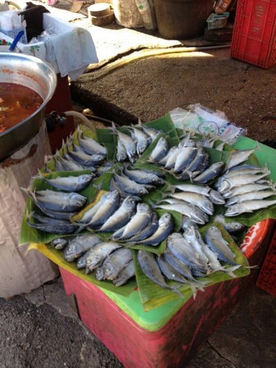 ปลาทูก็มี