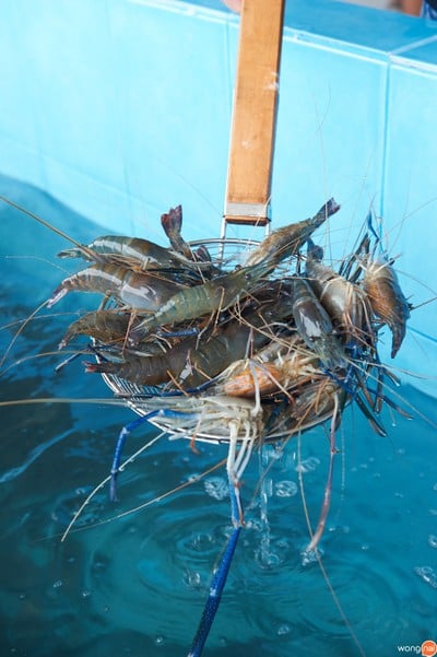 ราชา บุฟเฟ่ต์ทะเลเผา ชลบุรี