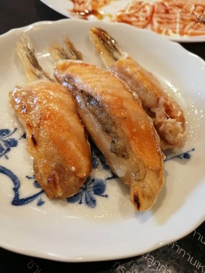 ครีบปลาย่าง