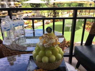 Dino Melon Khonkaen (ไดโน เมล่อน ขอนแก่น) Dino Melon Khonkaen (ไดโน เมล่อน ขอนแก่น)