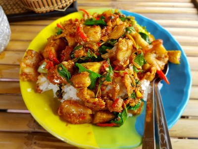 สุดา ฅ.กันเอง อาหารป่าสุดแซ่บ