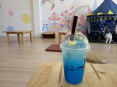 นิยมชมแมว (Niyomcatcafe) นิยมชมแมว (Niyomcatcafe)