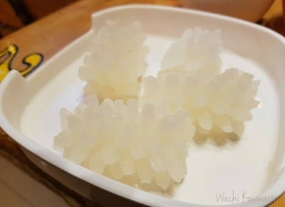 ปลาหมึกสด