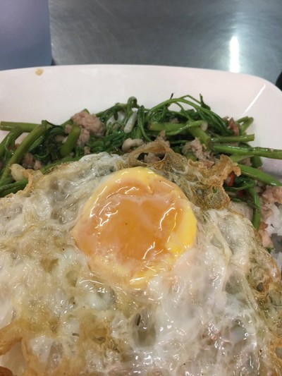 ผักกระเฉดราดข้าว ไข่ดาว