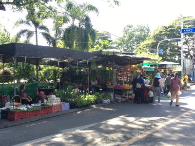 บรรยากาศ ตลาดน้ำตลิ่งชัน