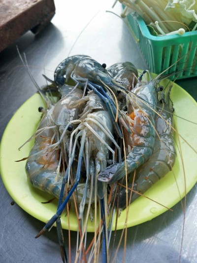 กุ้งสด