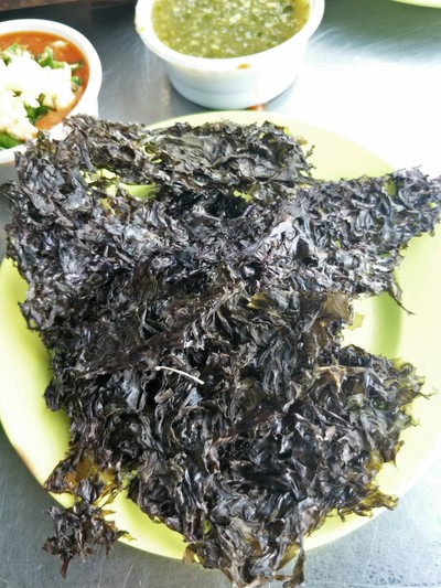 สาหร่าย