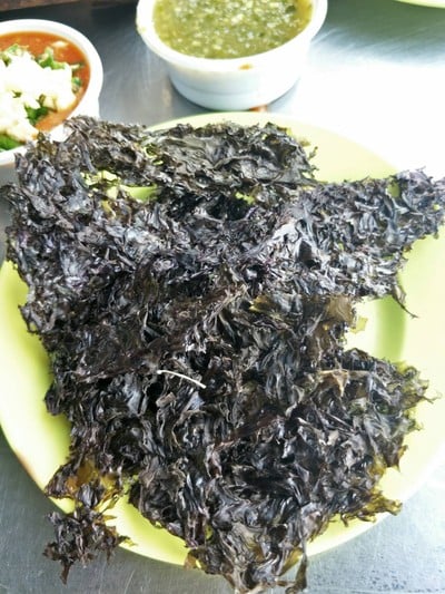 สาหร่าย