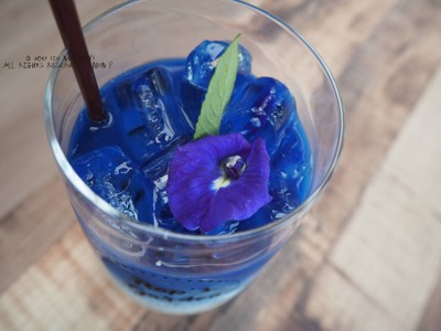BUTTERFLY PEA LATTE