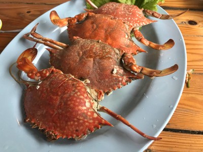 ปูม้านึ่ง 4ตัว/กก