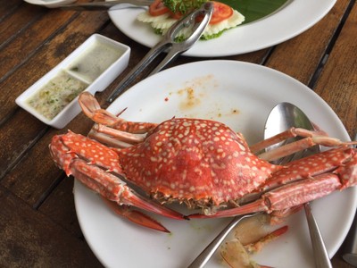 ปูม้านึ่ง 4ตัว/กก