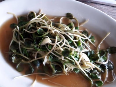 สวนกาลเวลา จตุจักร - กำแพงเพชร  - หมอชิต