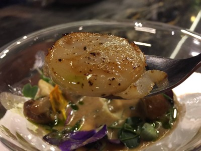 Foie gras mousse with seared Hokkaido scallop, wild mushroom and wild mushroom foam