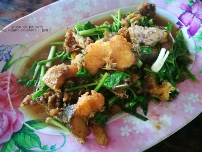 ปลาช่อนผัดคึ่นช่าย