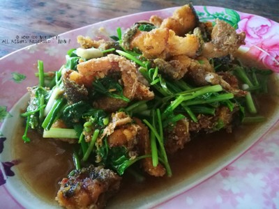 ปลาช่อนผัดคึ่นช่าย