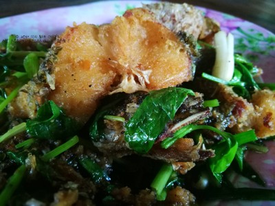 ปลาช่อนผัดคึ่นช่าย