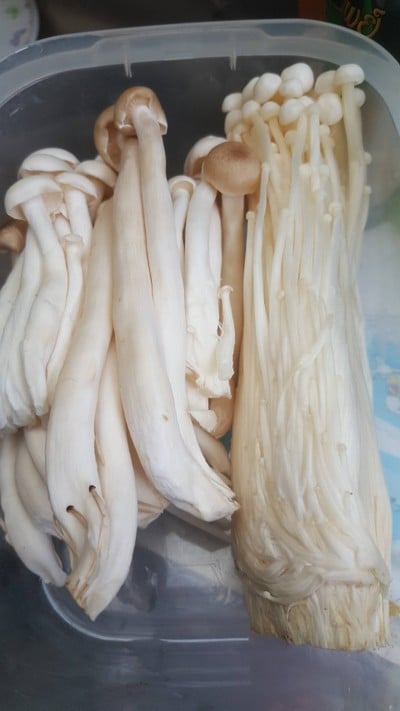 วิธีทำ เห็ดชุบแป้งทอด 