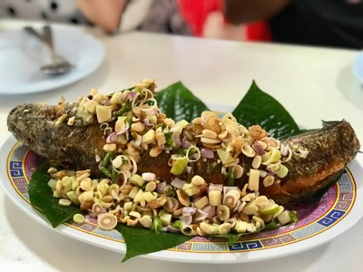 ปลาช่อนลุยทุ่ง