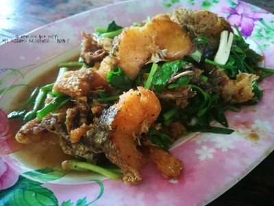 ปลาช่อนผัดคึ่นช่าย