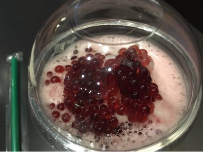 Habicus Tea With Pomegranate Pearls