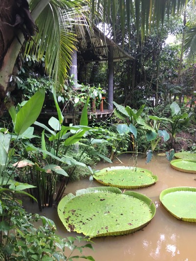 บรรยากาศ