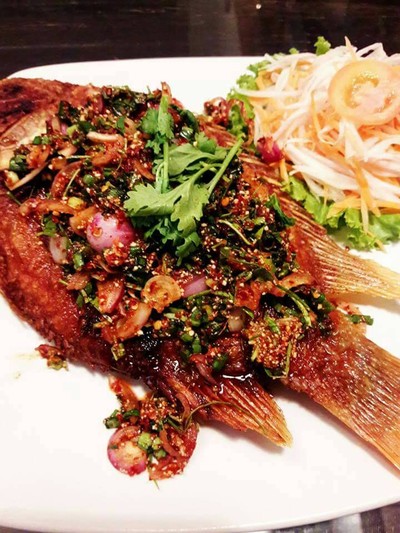 ช่อชบาแหนมเนือง ช่อชบาแหนมเนือง