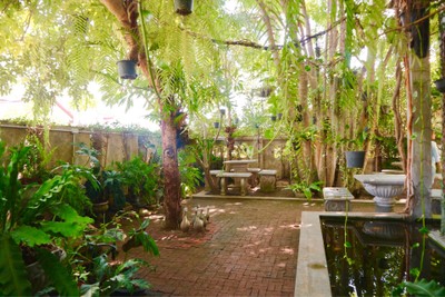 บรรยากาศ Tree House Cafe Hua hin