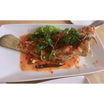ปลาเก๋าราดพริก
