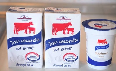วิธีทำ Homemade Yogurt