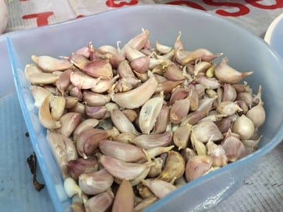 กระเทียม