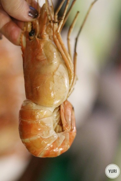 กุ้งใหญ่เผา