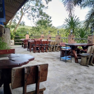 Jungle view