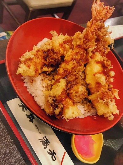 EBI TENDON