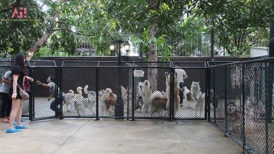 True Love @Neverland Neverland