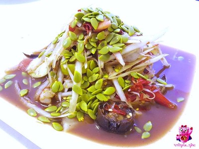ส้มตำมาดาม Steak&restaurant (ส้มตำมาดาม) ส้มตำมาดาม Steak&restaurant (ส้มตำมาดาม)