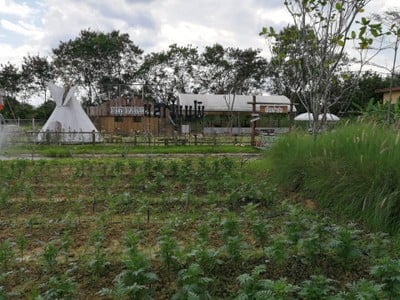 บรรยากาศ