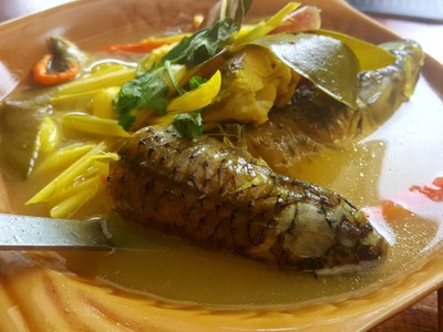 ต้มส้มปลากระบอก