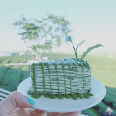 ไร่ชาฉุยฟง แม่จัน (Choui Fong Tea) เชียงราย ไร่ชาฉุยฟง แม่จัน (Choui Fong Tea) เชียงราย