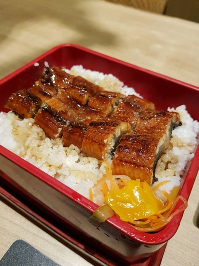 ปลาไหลย่าง