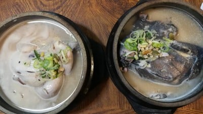 ไก่ขาว 16000 &ไก่ดำ23000
