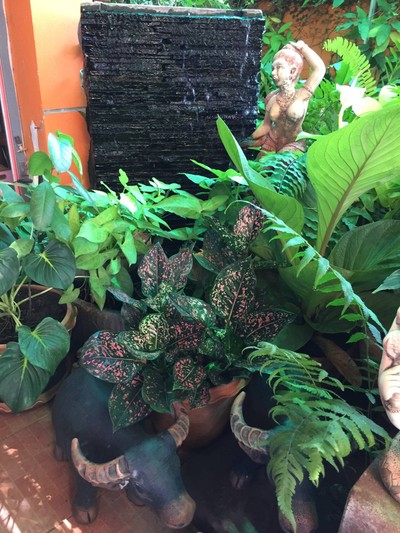 บรรยากาศ