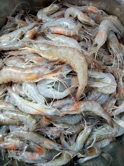 วิธีทำ กุ้งหวานบ้านแม่โสภา