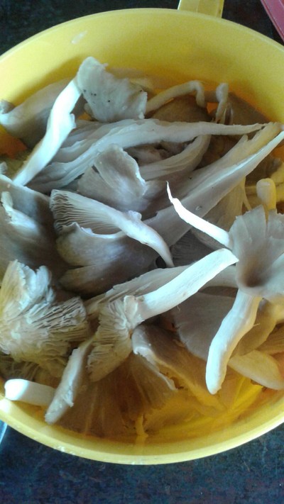 วิธีทำ ผัดเห็ดนางฟ้ากุ้งสด