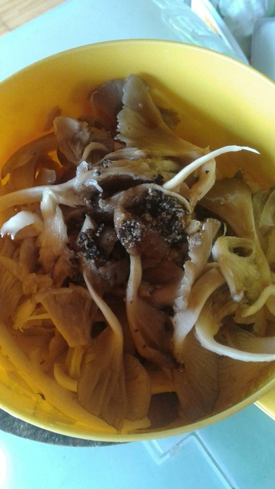 วิธีทำ ผัดเห็ดนางฟ้ากุ้งสด