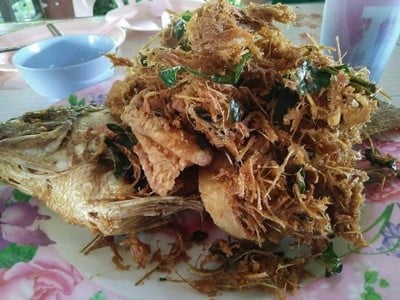 เมนูปลา - แม่จัน เชียงราย (Menu plaa) เมนูปลา - แม่จัน เชียงราย (Menu plaa)